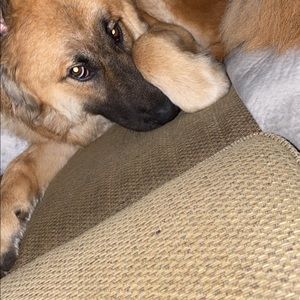 Meet your Posher, Jackson